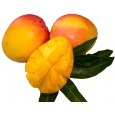 Масло манго