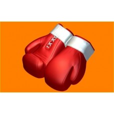 Перчатки боксерские (БП482)