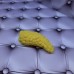 Мимоза букетная 3Д, форма силиконовая