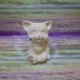Котик с бантиком 3Д, форма силиконовая 