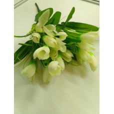 Тюльпаны белые 