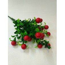 Ветка ягод и зелени